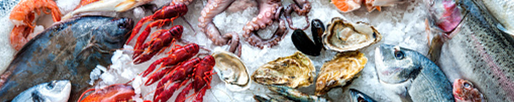 PESCADERIA LOS MONTES